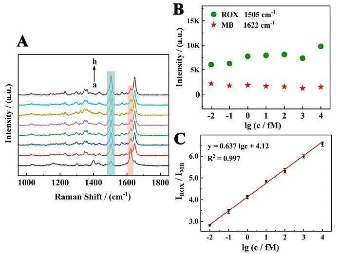 【分析】液相sers平台用于比率检测microrna 155_拉曼