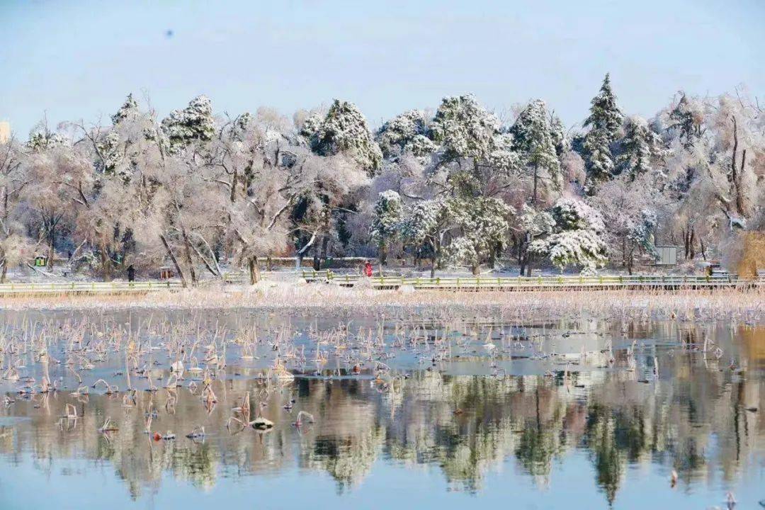 長春雪景有多美?看這一條就夠了!