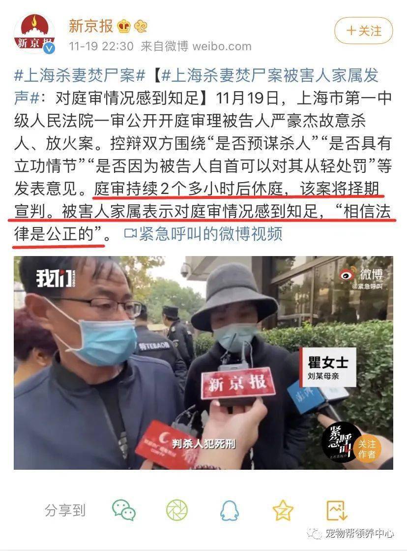 上海杀妻焚尸案中狗狗冲进火海救主有些人啊真的不如狗