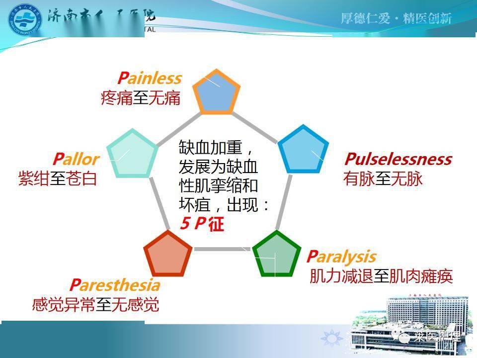 【ppt】骨筋膜室综合症的观察及护理