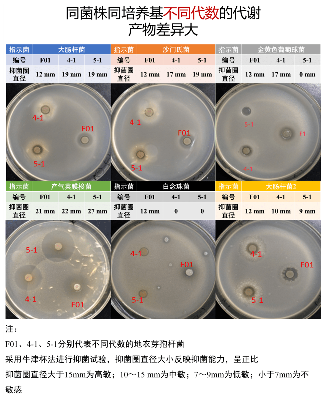 f01号的地衣芽孢杆菌对大肠杆菌的抑菌圈直径为12 mm,而4