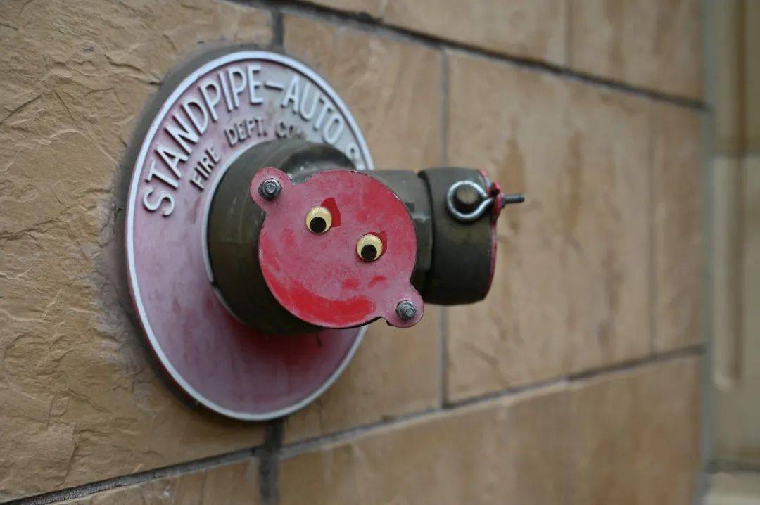 尼康nikonz6ii全画幅微单相机真机实拍样片