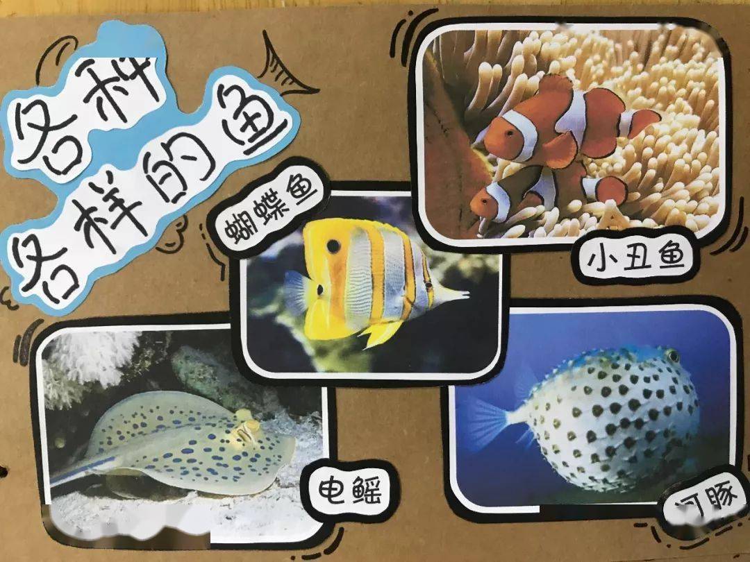 各种各样的鱼鱼儿从一个个小小的鱼卵慢慢孵化成小鱼苗,鱼苗生长2个月