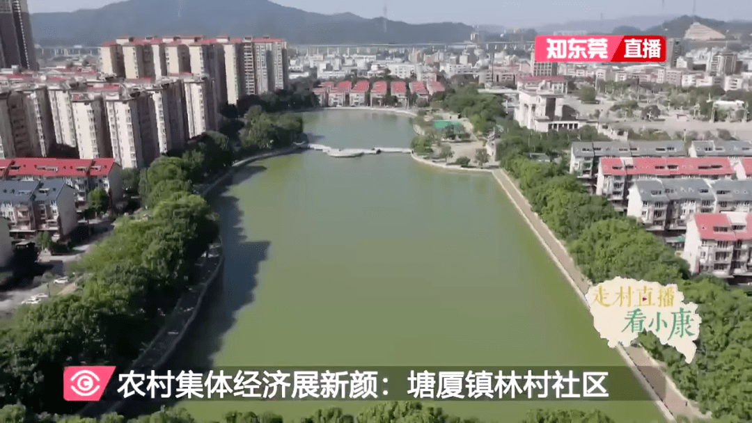 塘厦林村又火了