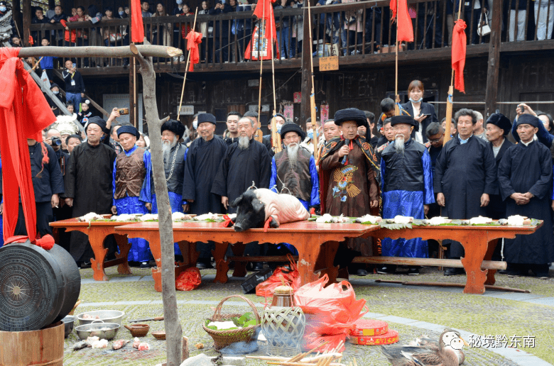 鼓藏头杀鸭祭鼓的场面起铜鼓摆放在鼓藏头家门口院坝老铜鼓芦笙烧香化