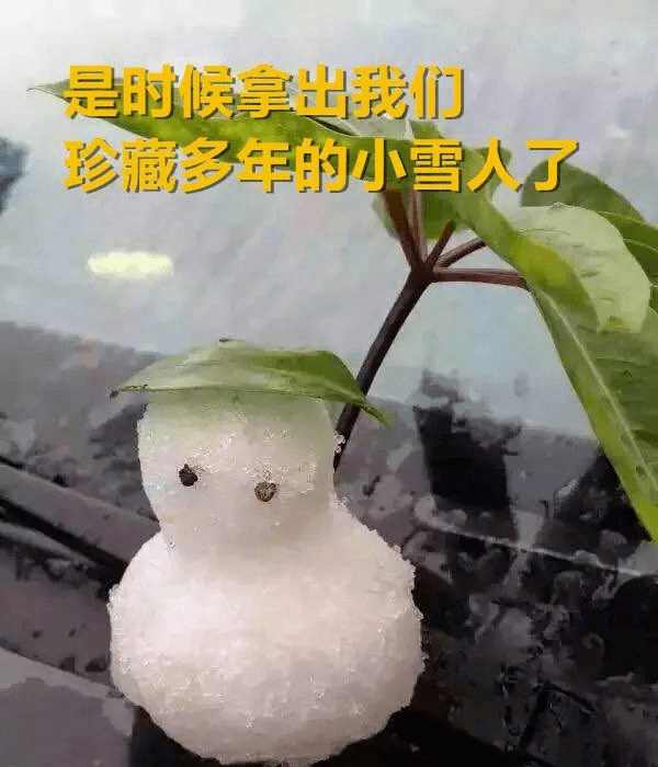 多少南方人顶着快中暑的天气雪花飘飘这两天大家都在羡慕 北方的冬天
