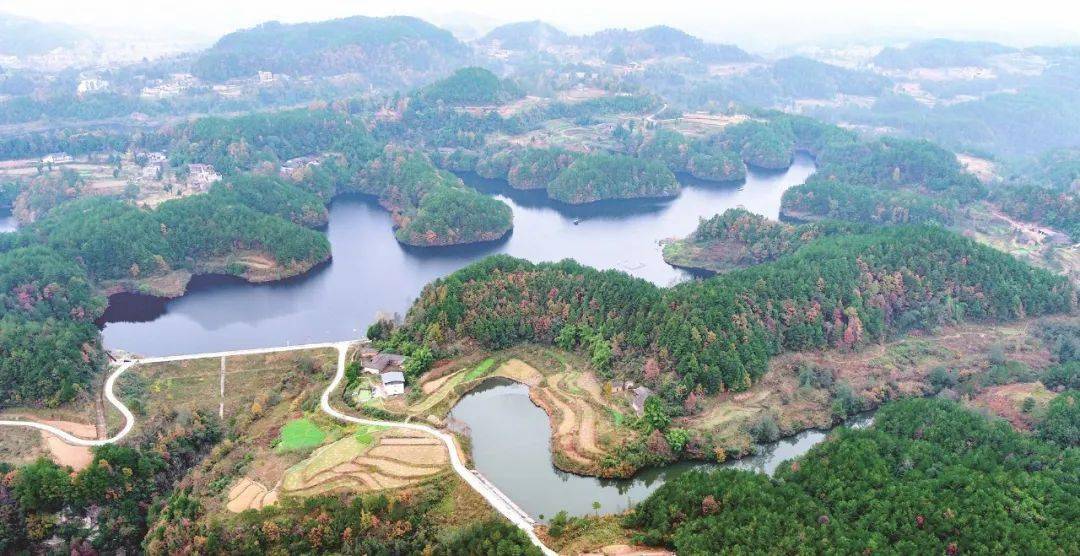 政府合作东方龙商务集团全力助推四川巴中恩阳区招商引资合力打造产业