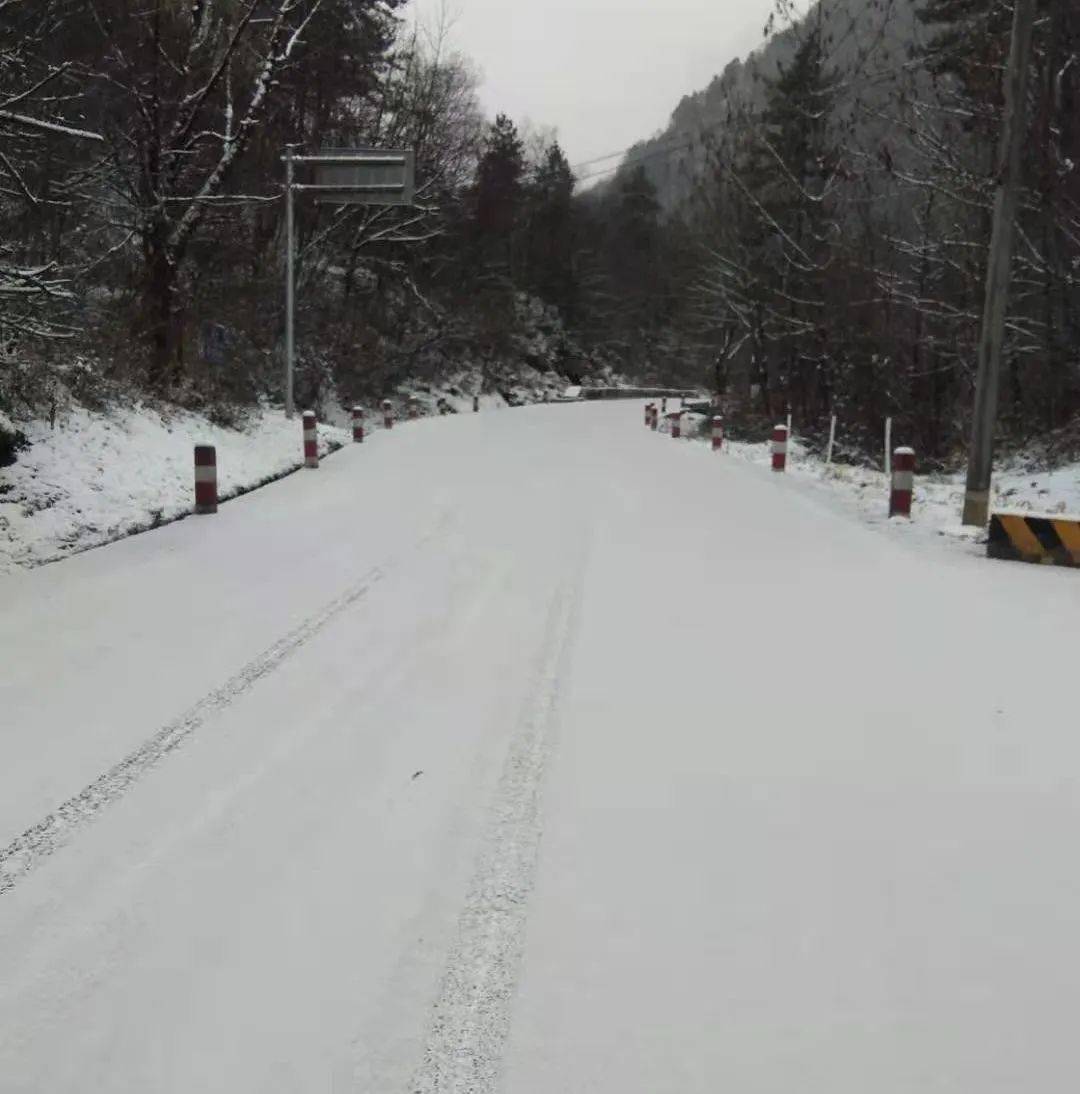 今冬第一场雪已到(多图 视频)_积雪