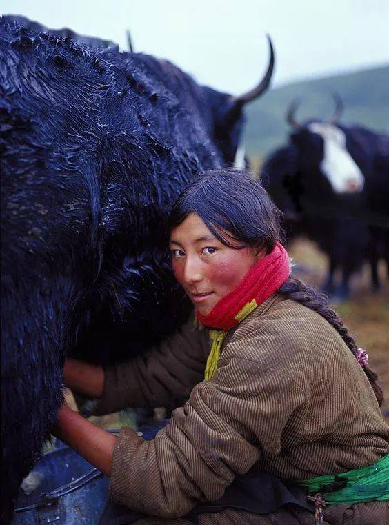 有着密不可分的关系,甚至农区和牧区的藏民服饰习俗也有着很大的差别
