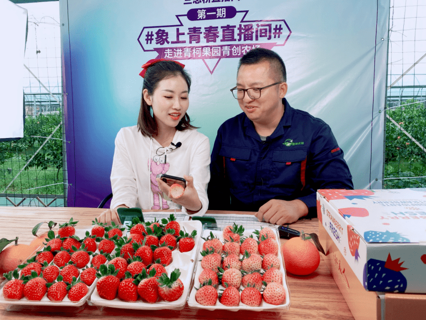 来自搜狐网