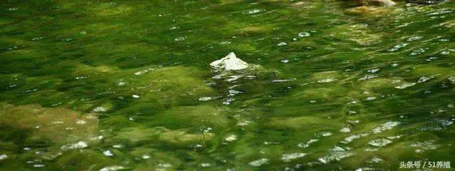 肥水困难是什么原因在作祟