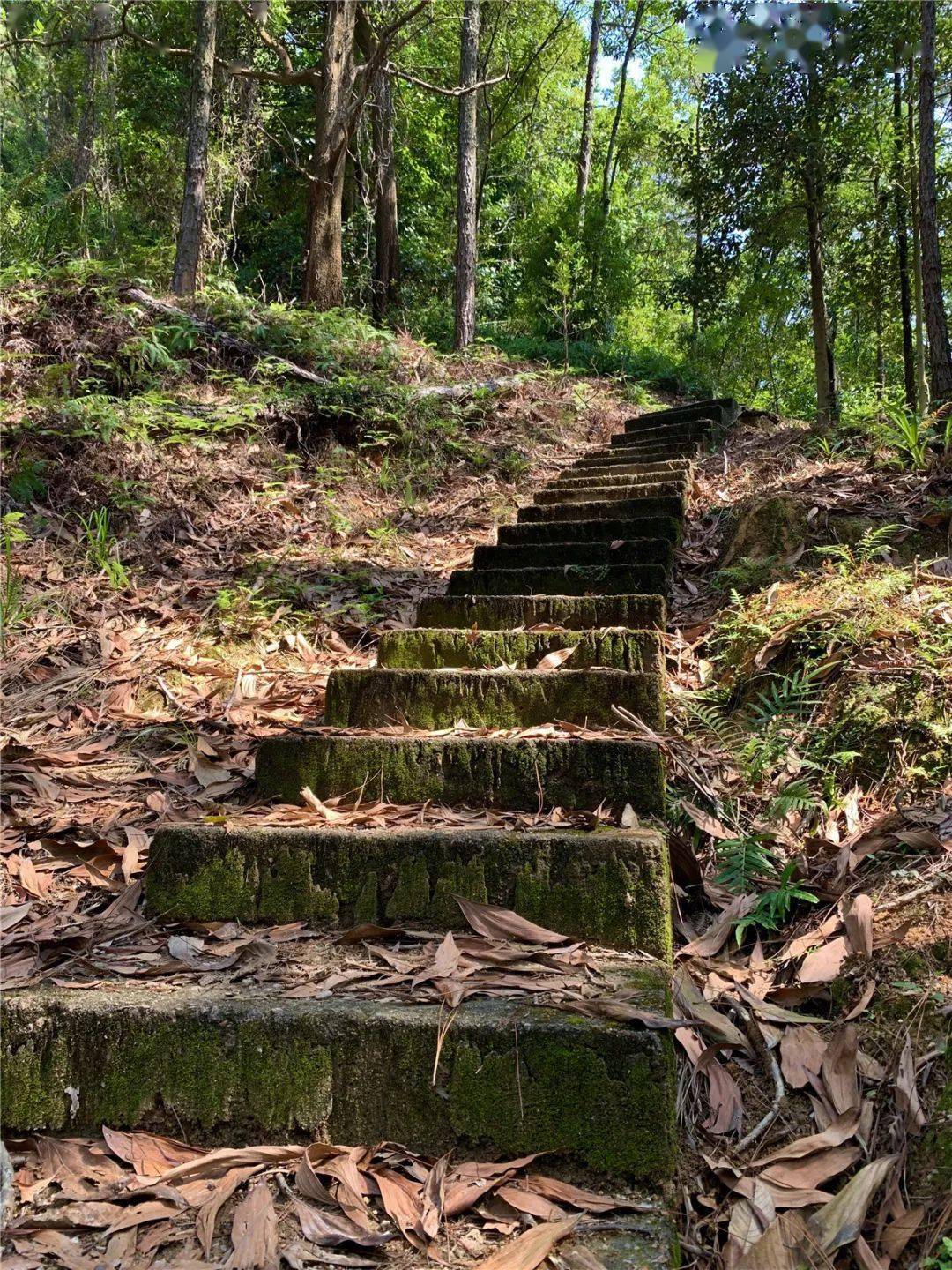 中山金钟水库徒步路线图片