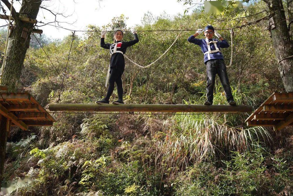 穿梭在森林中的探险■山中天谷景区位于黄山市歙县雄村,是国家3a级