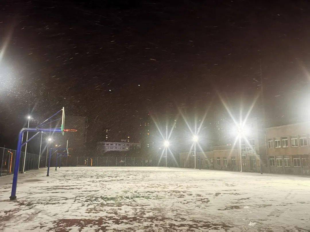 雪洒向人间,洒向漆黑的角落,洒向一切需要白色的地方,雪花飘落,不如说