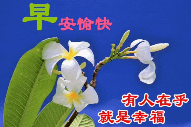 早上好问候美图,早安问候语句.