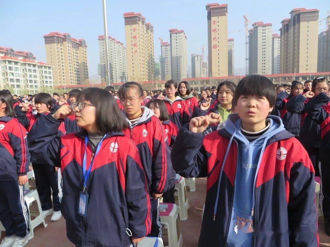 临洮县文峰中学校花图片