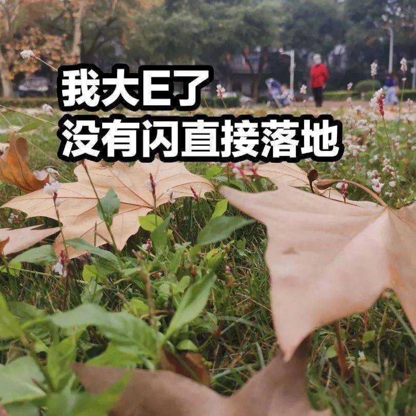 拾桂覓香丨桂子山專屬表情包出爐速戳