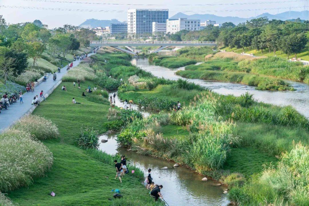 ar精选重塑河道生命系统深圳茅洲河碧道光明段生态修复试点eadg