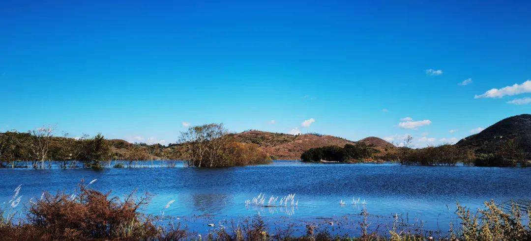 (马塘镇德厚水库)(喜古乡新寨村委会盘龙山水库)(德厚镇明湖村)(德厚