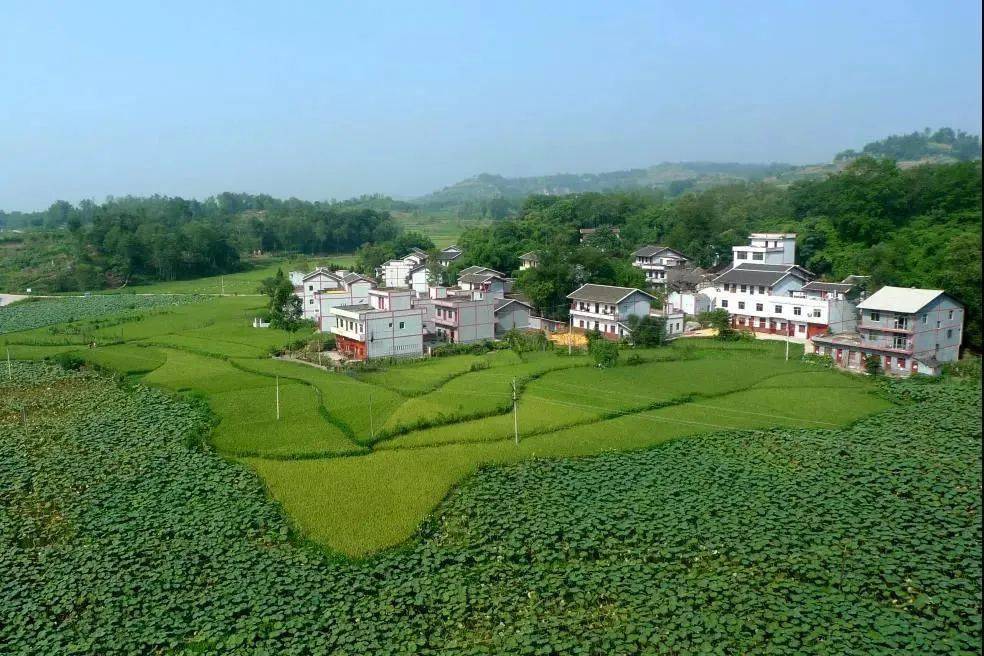 喜讯!邻水这个村受中央表彰