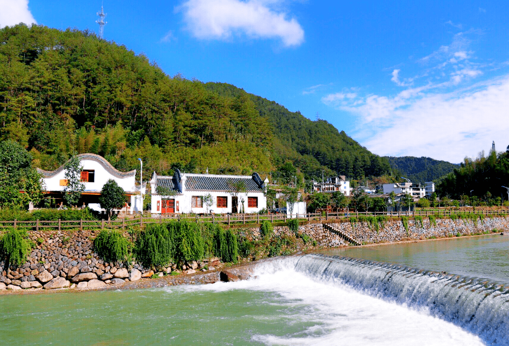 庆元县民宿经济实现逆生长开启乡村振兴发展新模式