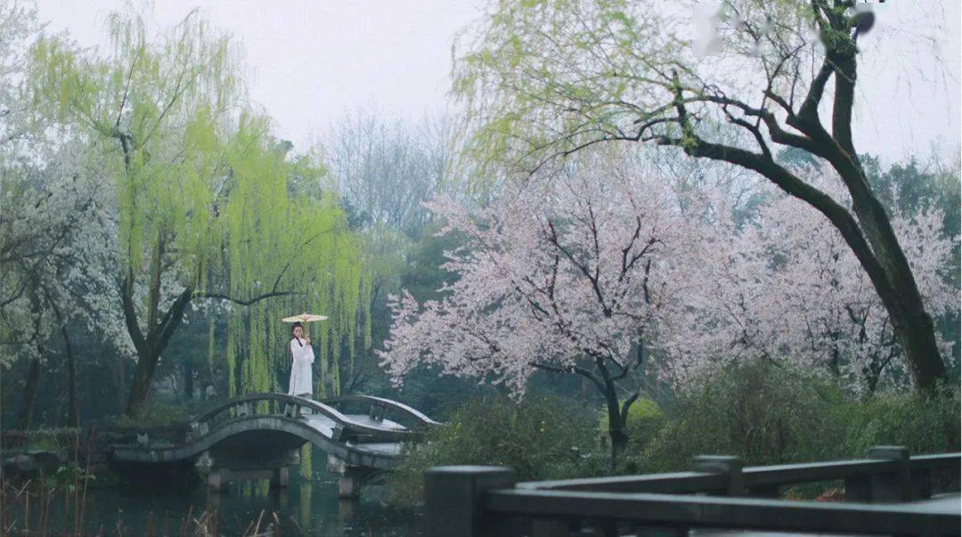 的街道向晚跫音不响,三月的春帷不揭你的心是小小的窗扉紧掩我达达