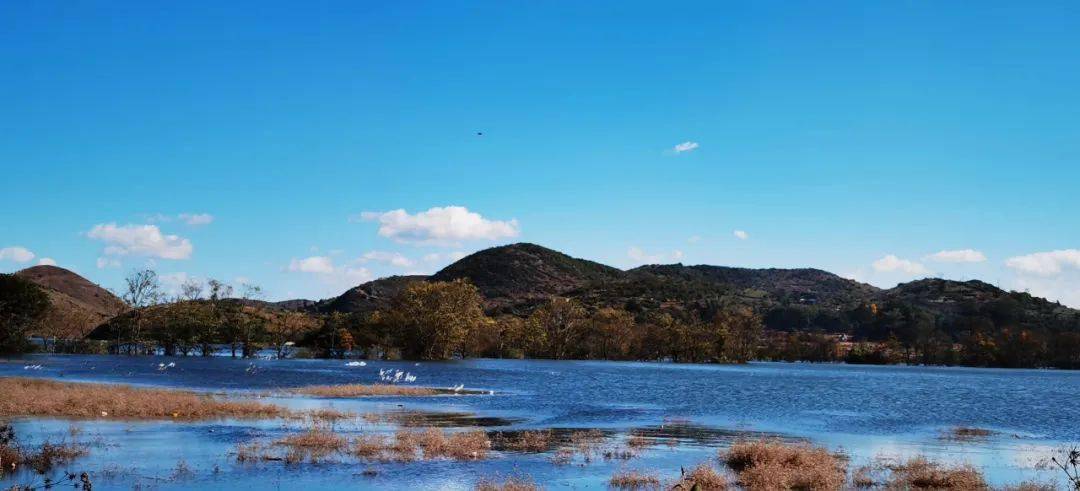 (马塘镇德厚水库)(喜古乡新寨村委会盘龙山水库)(德厚镇明湖村)(德厚