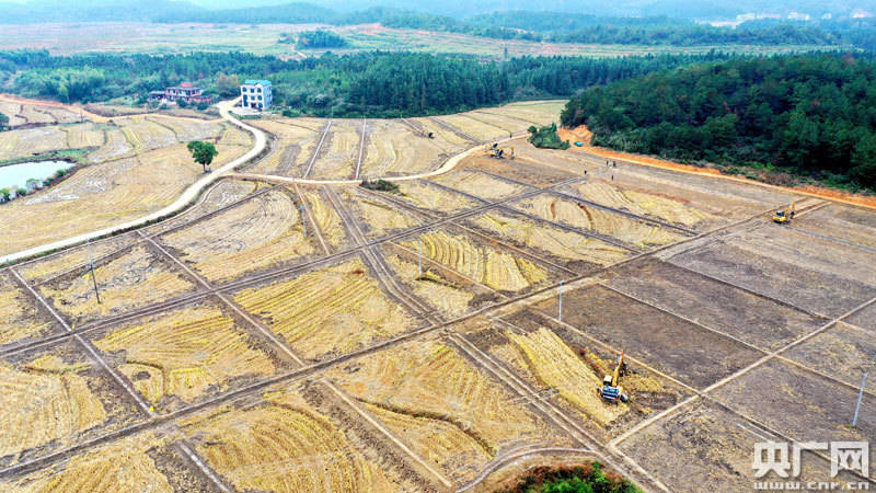 吉水县紧紧围绕粮食生产进行高标准农田建设,切实提高项目建设质量