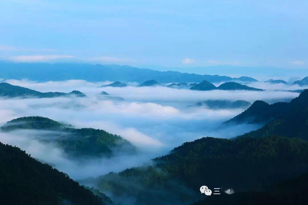 而三百山地處武夷山餘脈與南嶺的九連山餘脈綿延交錯地帶,其獨特的