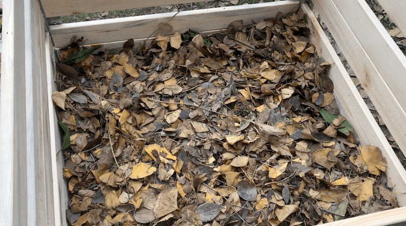 其实,这些枯枝落叶也有很大的养分,它们可以用于落叶堆肥,将垃圾变成