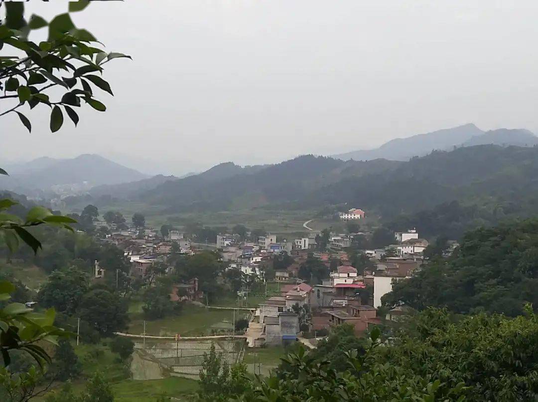 袁州天台的"直播带货"有些特别,老表们喜欢