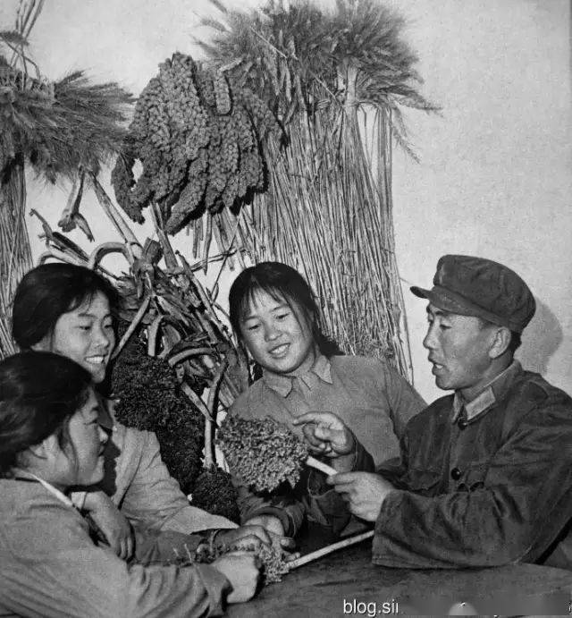 内蒙古知青们无伴奏合唱草原恋满满的回忆与感动太罕见了