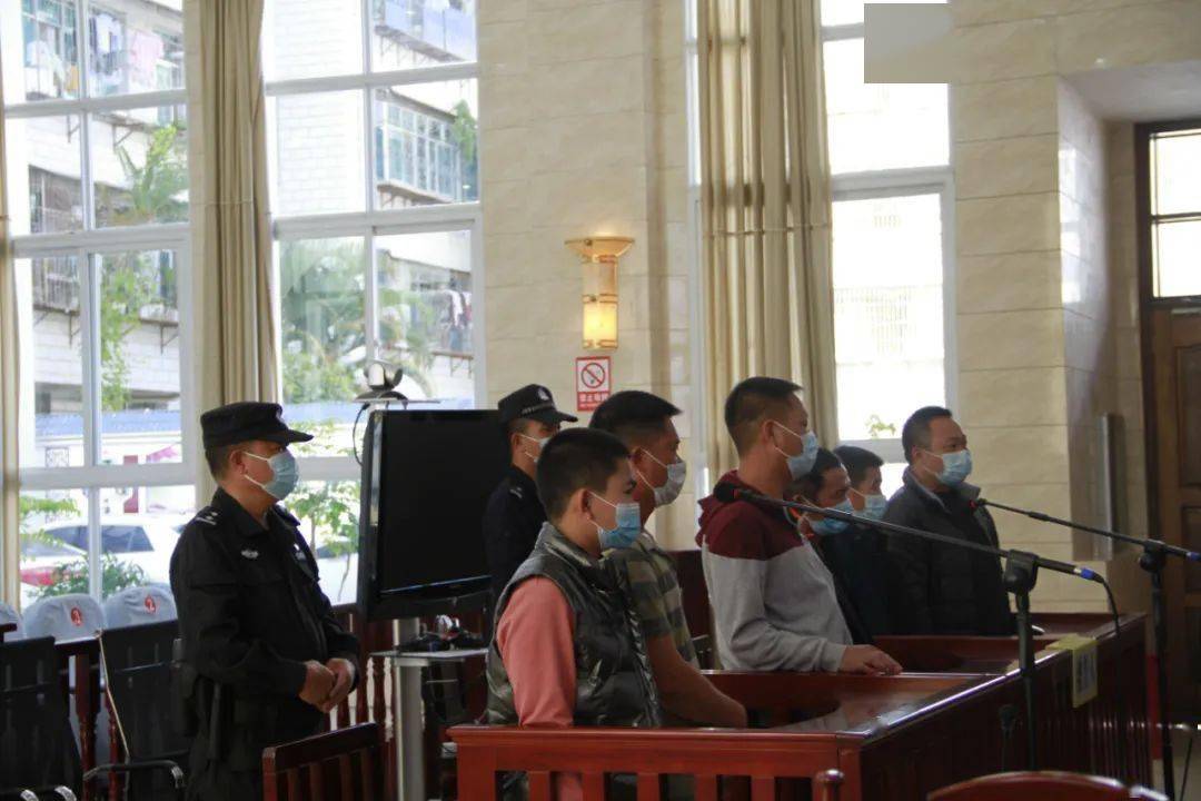 金平法院集中审理6件危险驾驶案件严厉打击酒驾犯罪