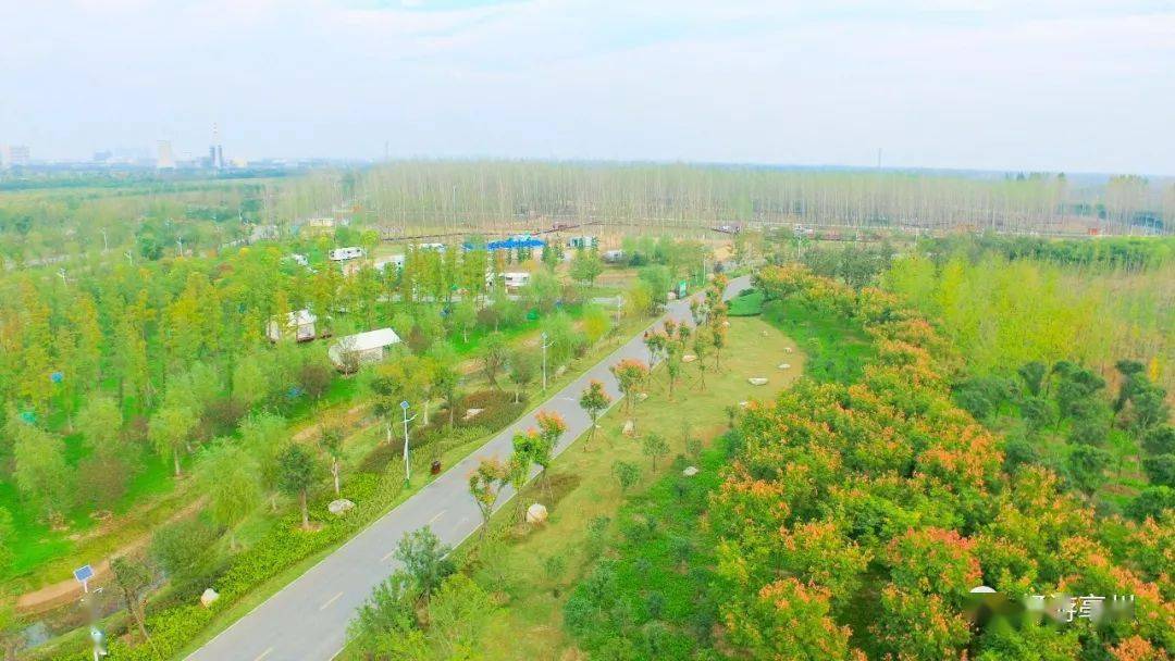 華佗百草園,西淝河溼地公園等景色優美的新旅遊項目建成運營,讓亳州