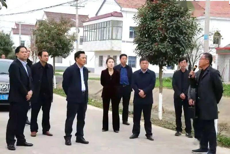 小组分成四个调研小组分别赴罗桥镇青杨村,古河镇前墩村,益林镇周邱村