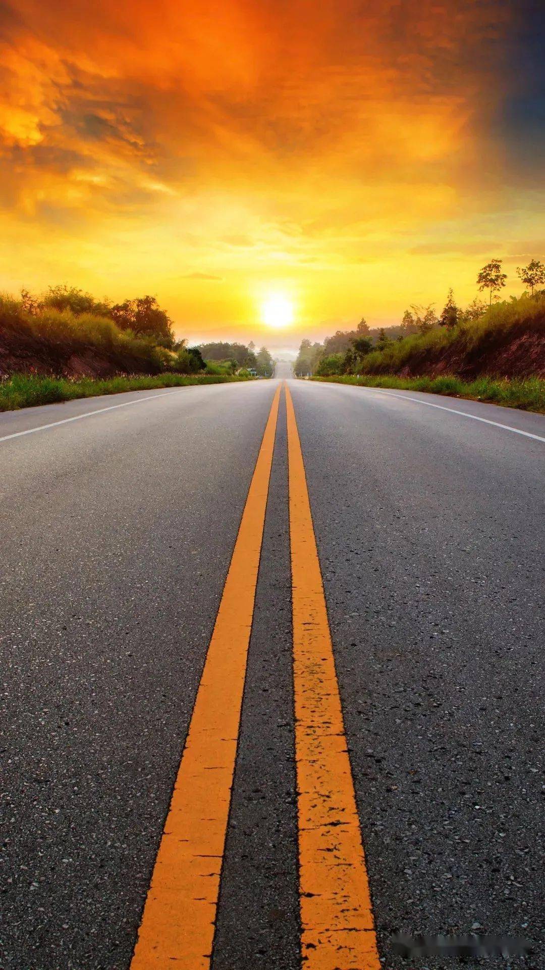 依兰朵儿:依兰,香水树的别名;朵儿,安静若初的绽放.