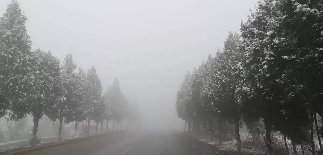 冬天早晨的雾的图片图片
