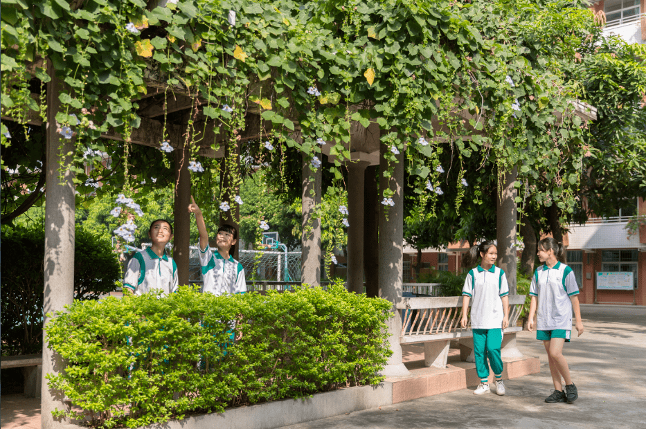 让阳光洒满成长的历程 ——记广州市绿翠现代实验学校心理健康讲座