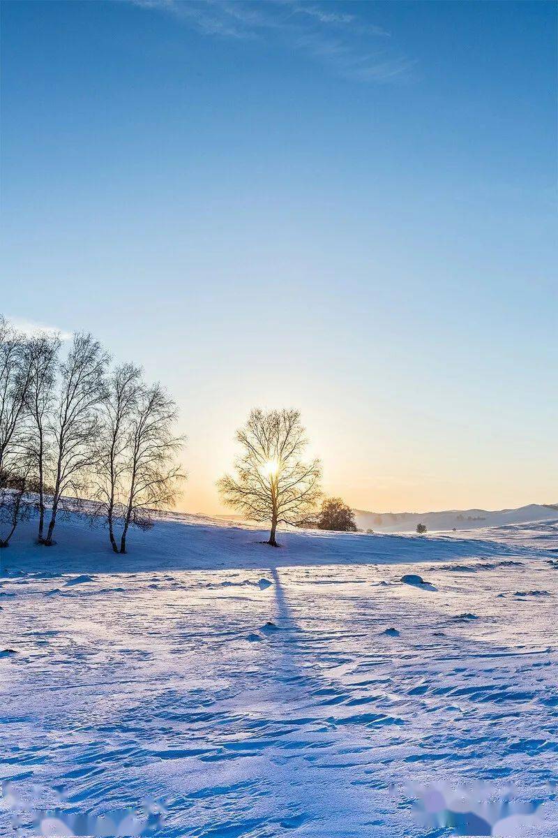 冬日暖阳的图片 唯美图片
