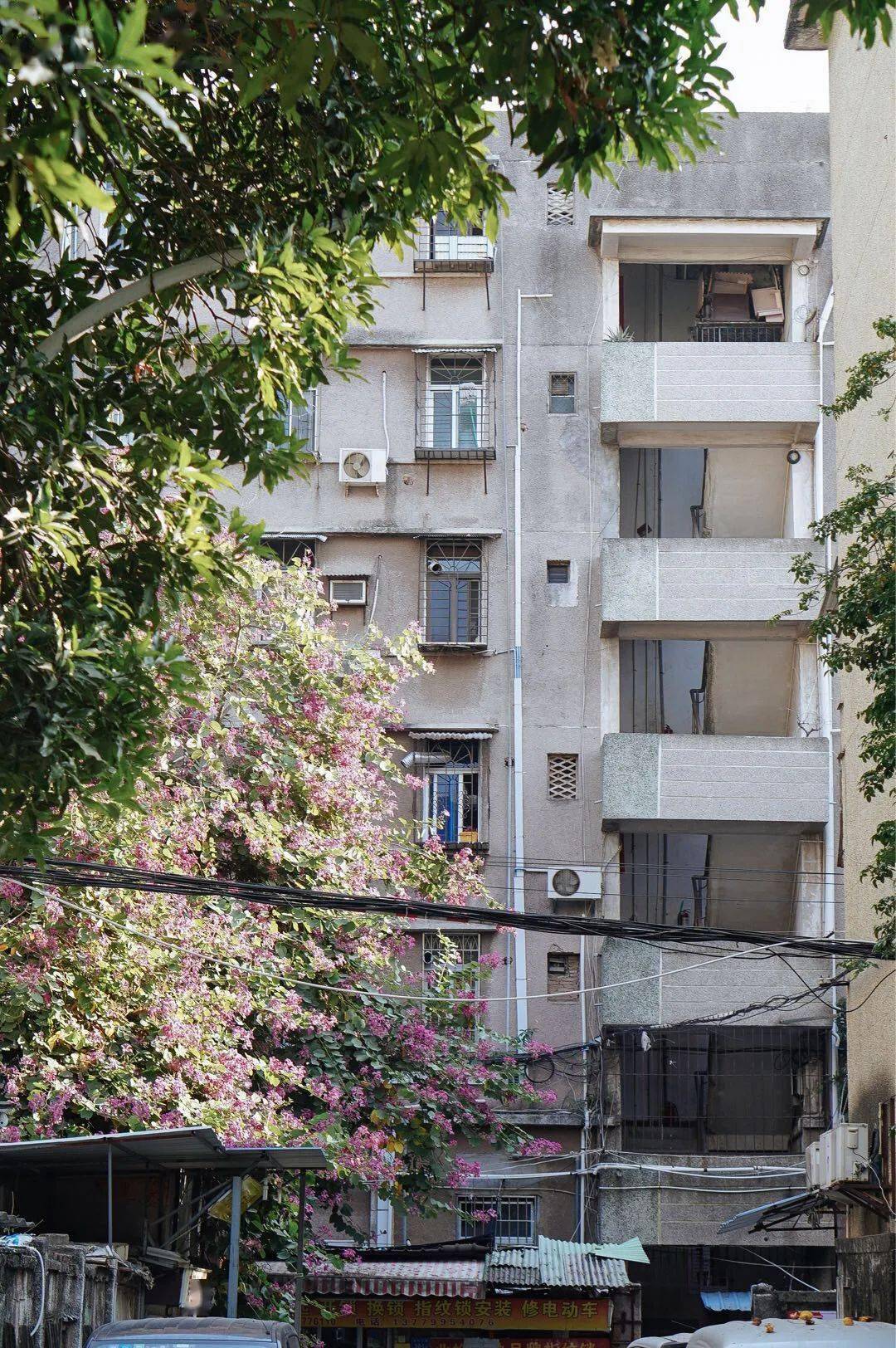 太羡慕住在思明区的人了坐拥这14个被私藏的拍照圣地出个门就像旅游