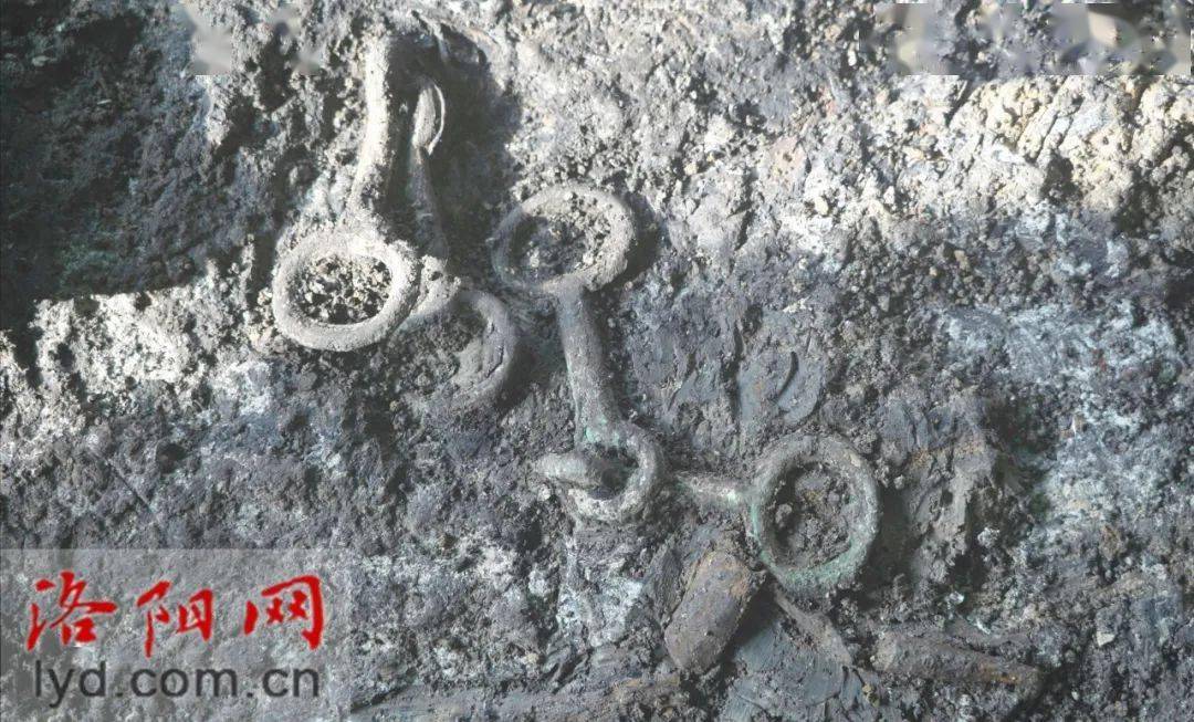 其中大型墓葬5座,中型墓葬12座,大,中型墓葬均有与之对应的陪葬车马坑