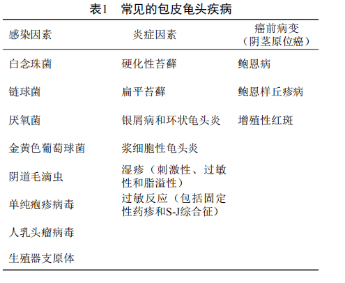 包皮裂可以看皮肤科吗女（包皮开裂可以做包皮手术吗） 包皮裂可以看皮肤科吗女（包皮开裂可以做包皮手术吗）《包皮裂开看什么科》 女科知识