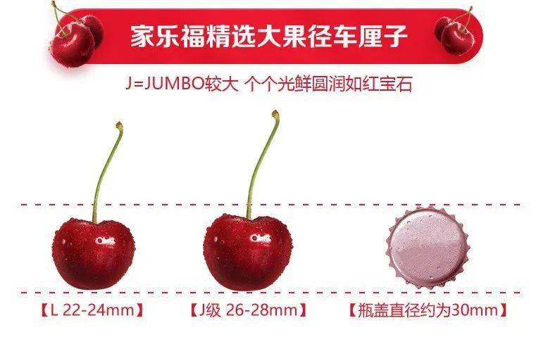 秒光>>智利进口车厘子jj级惊爆价:299元/箱!价格超暖~_南半球