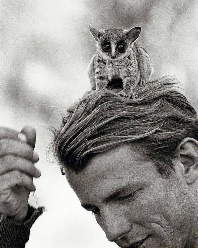 从耶鲁毕业后他买下了伊萨克·迪内森农场旁边的50英亩土地,开始长居