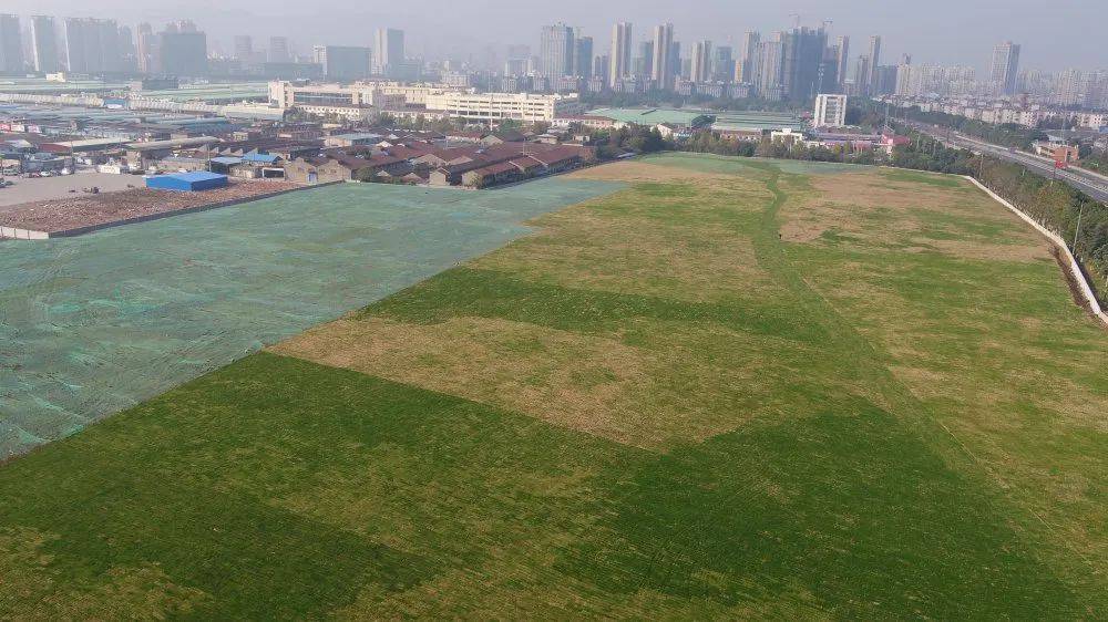 即将开放10万平米大绿地