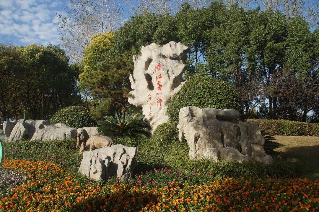 看一团秋叶像在天空飘舞道路边的行道树也可成为一抹靓丽的风景线探秘