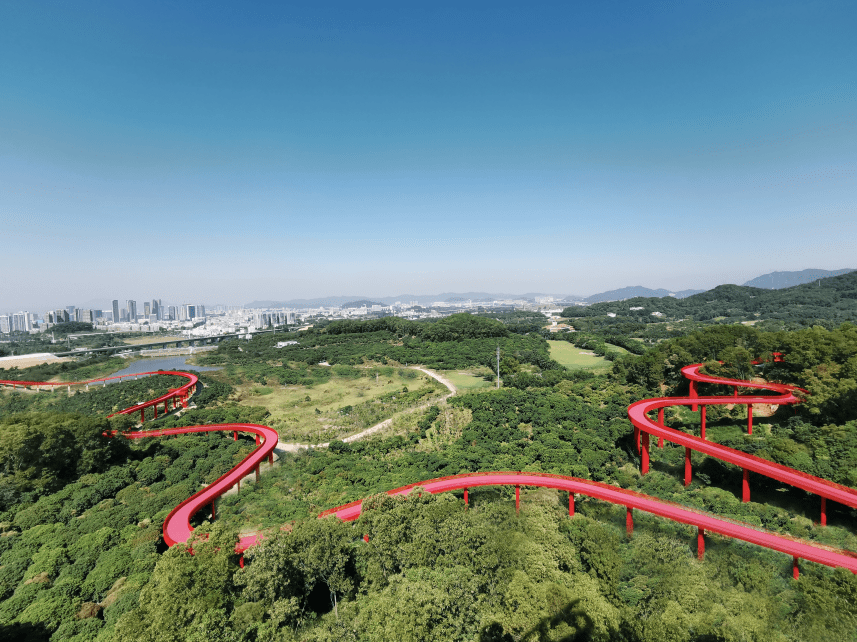 光明网红公园来了4公里红飘带颜值爆表