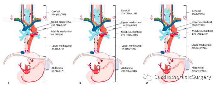 (a)=胸上段食管肿瘤,(b)=胸中段食管肿瘤,(c)=胸下段食管肿瘤.