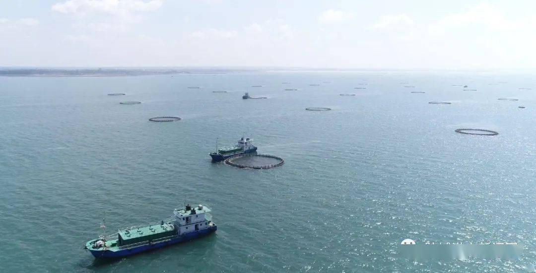 防城区:耕海牧渔,白龙珍珠湾"蓝色粮仓"喜获丰收