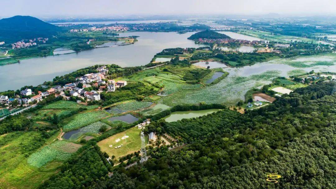 海会鄱湖湾景区图片